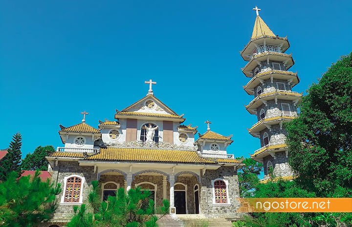 dau-tram-thien-an-02 dầu tràm thiên an